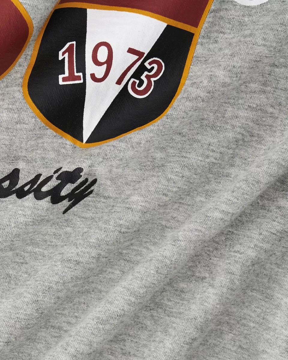 Roots Mens Sport Heritage T-Shirt GREY MIX Flash Sale